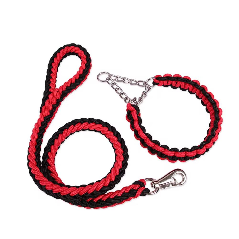 Large leash with collar