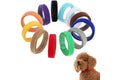 Puppy/Kitten Identification Collar