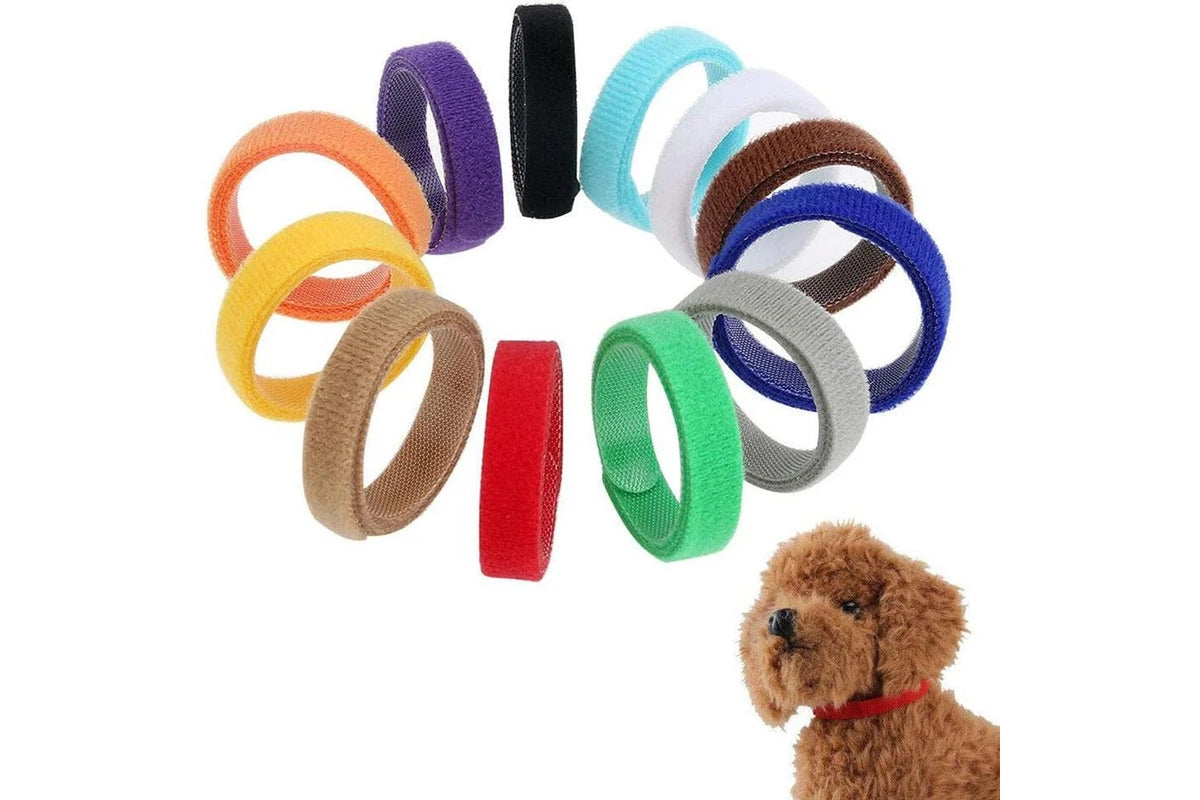 Puppy/Kitten Identification Collar