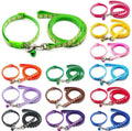 Puppy leash and collar
