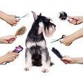 In-shop grooming Service Kumasi