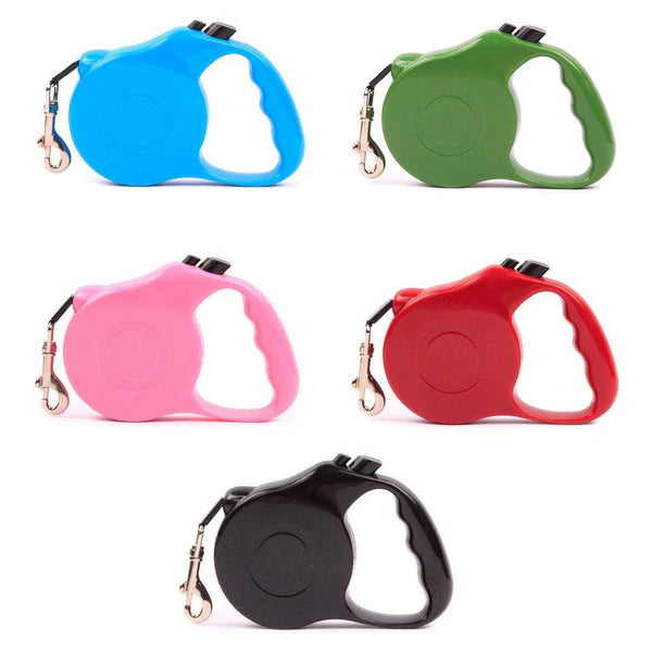 Retractable Leash