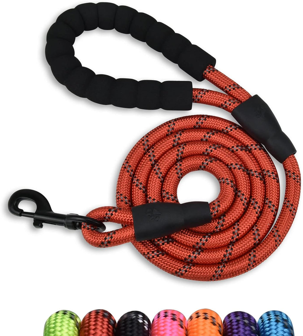 Reflective Thread Dog Leash