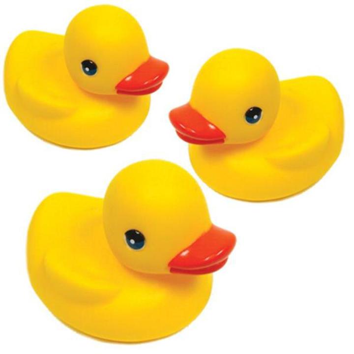 Vinyl Squeaky Toys