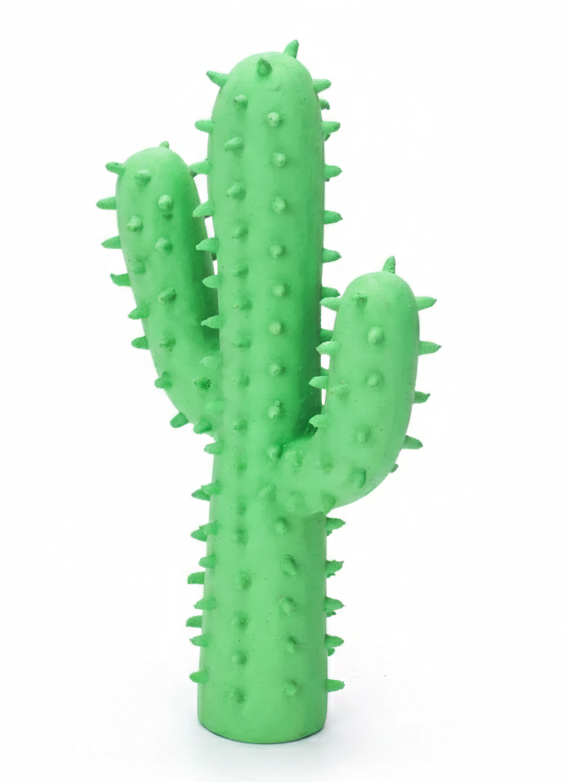 Vinyl Squeaky Toys