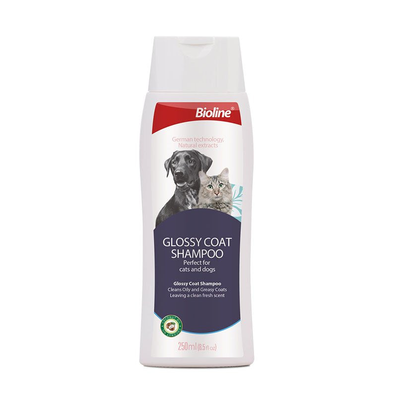 Dog Shampoo