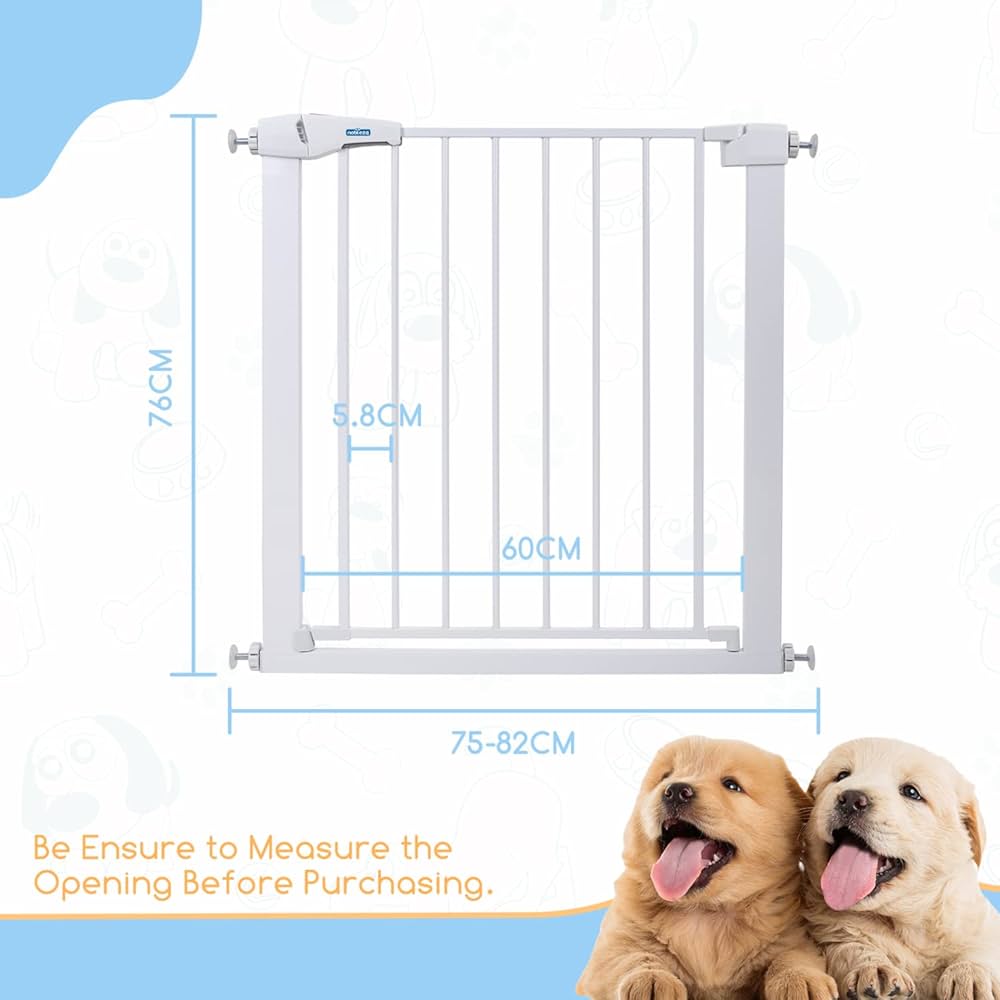 Pet Fence