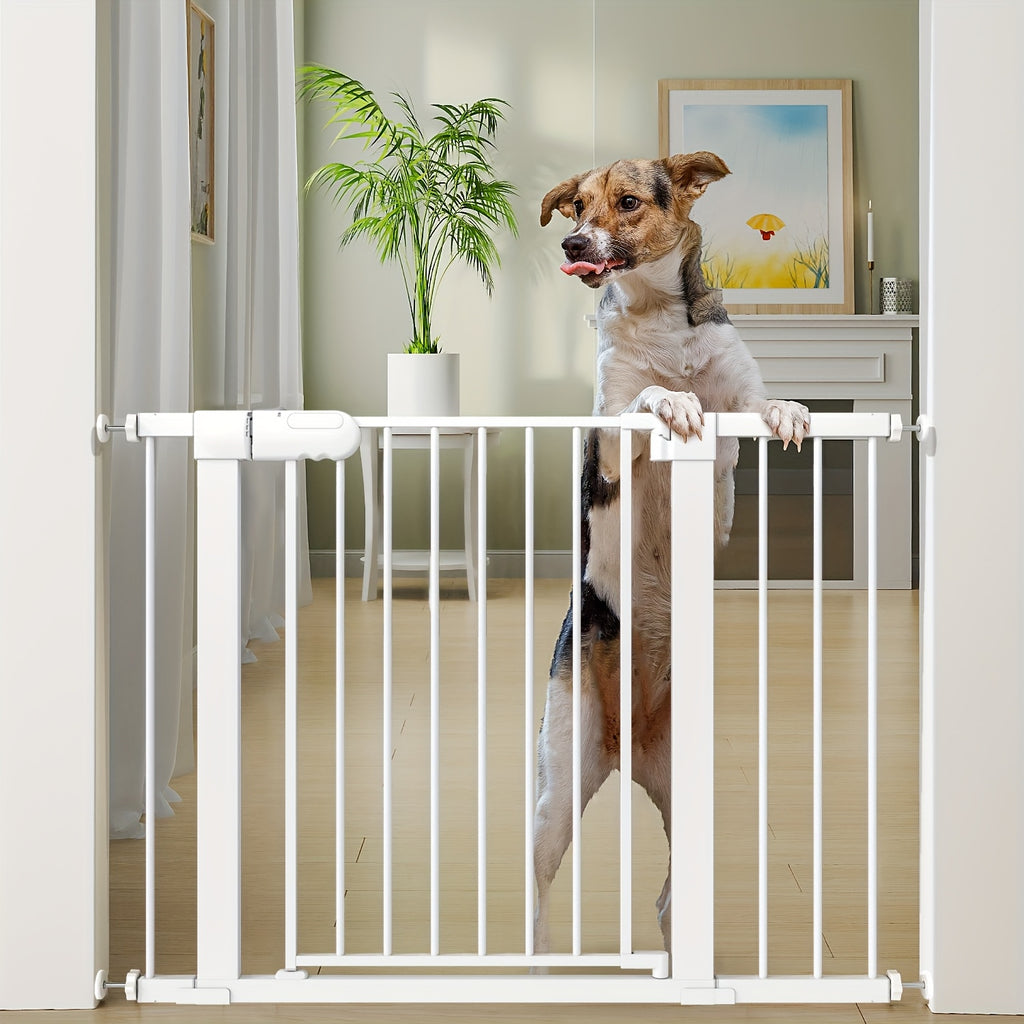 Pet Fence