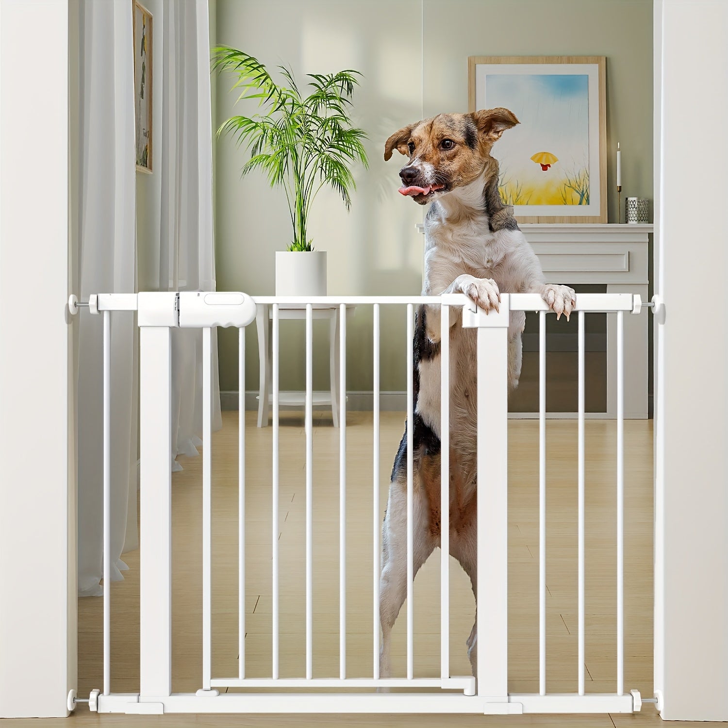 Pet Fence