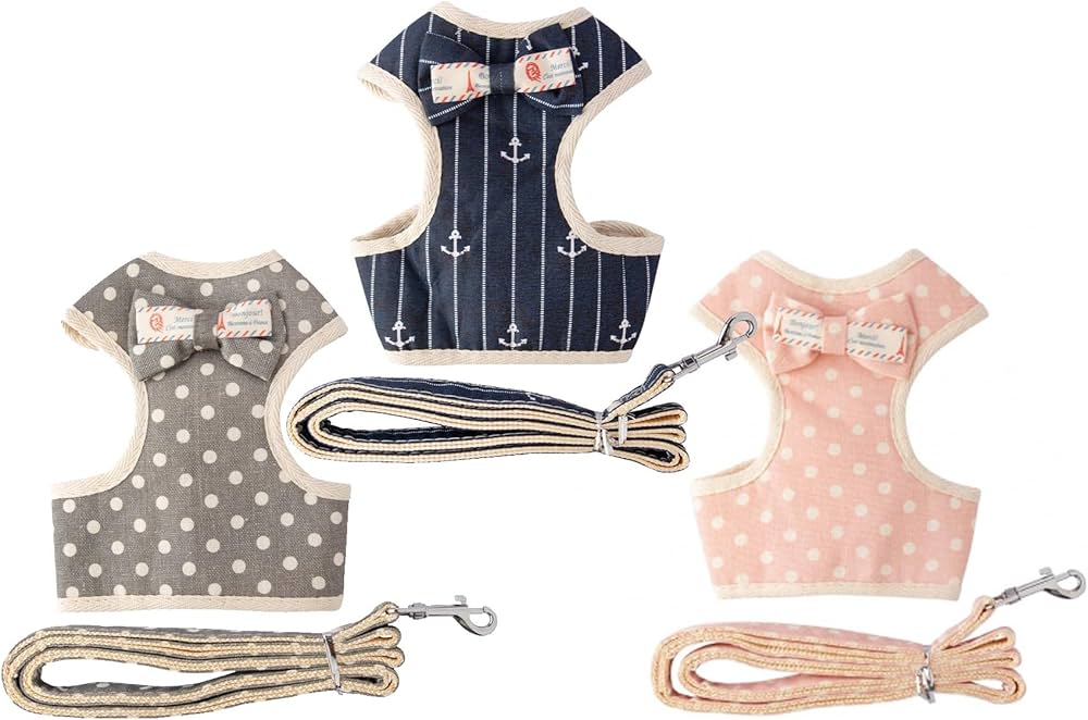 Harness