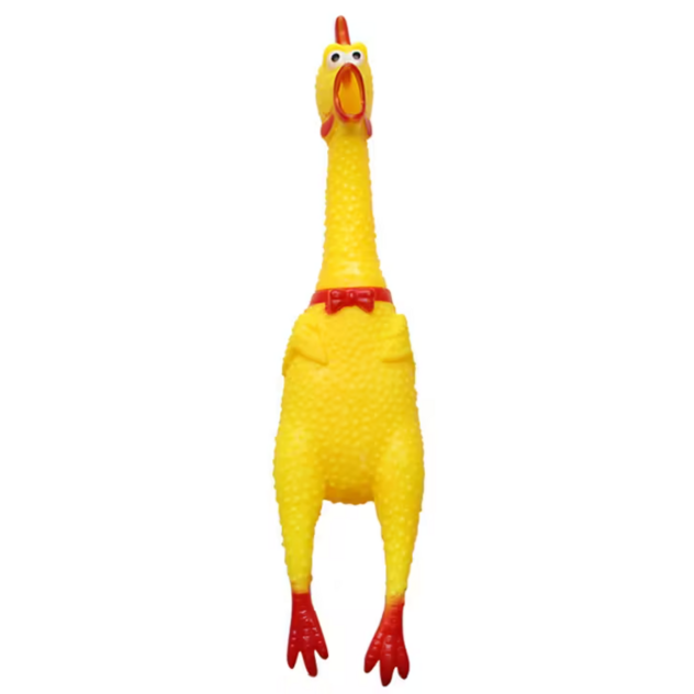 Vinyl Squeaky Toys