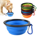 Collapsible Bowl