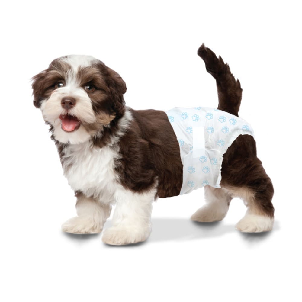 Dog Diaper